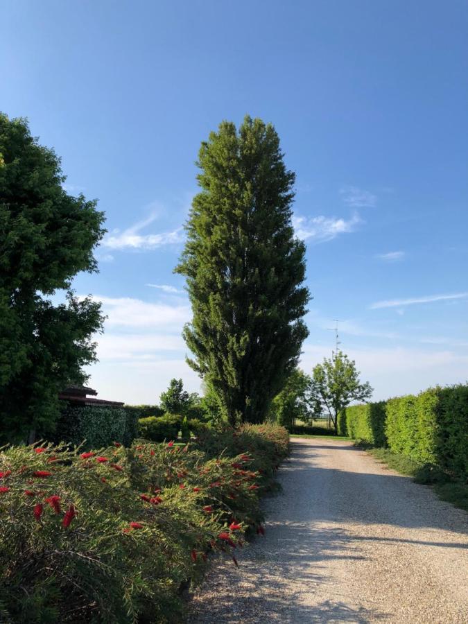 Via D' Este 8 Gualtieri Экстерьер фото